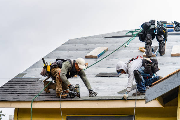 Professional Roofing technician working in New Raymer, CO